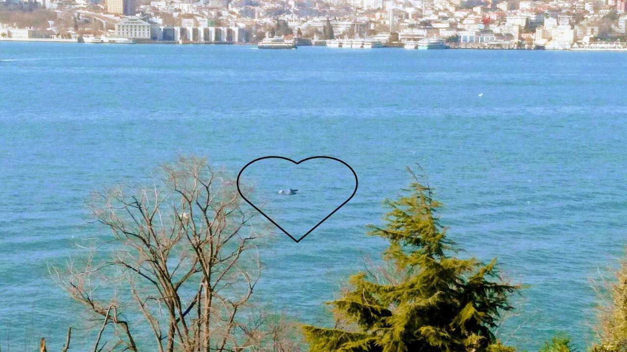 The Bosphorus Perch Appartement Istanboel